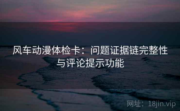 风车动漫体检卡：问题证据链完整性与评论提示功能