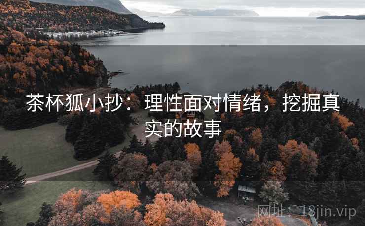 茶杯狐小抄：理性面对情绪，挖掘真实的故事